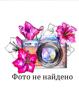 Трикотаж Блеск цвет зеленый