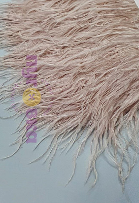 Тесьма перо Страуса цвет пудра